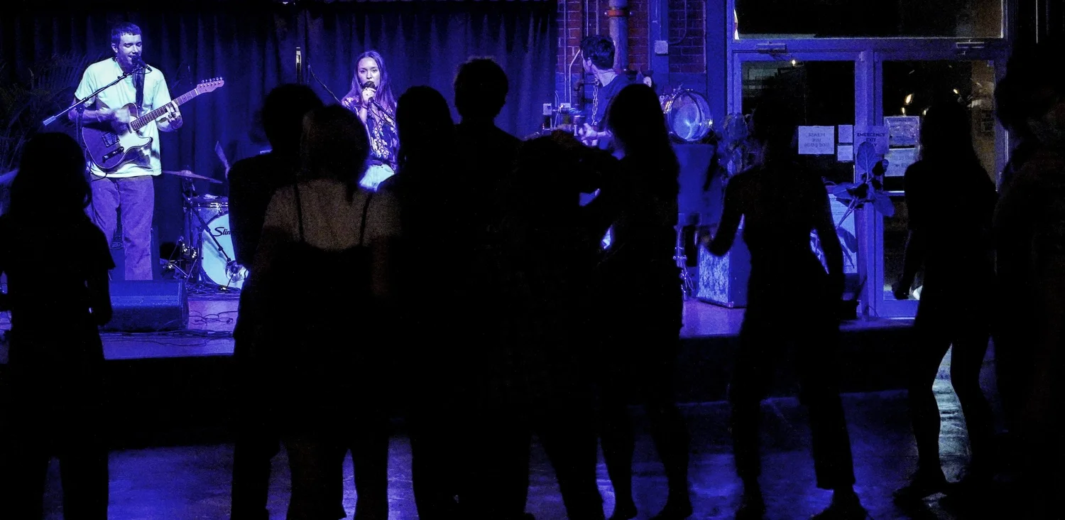 The room at Nova Arts mid-show, crowd facing the stage.